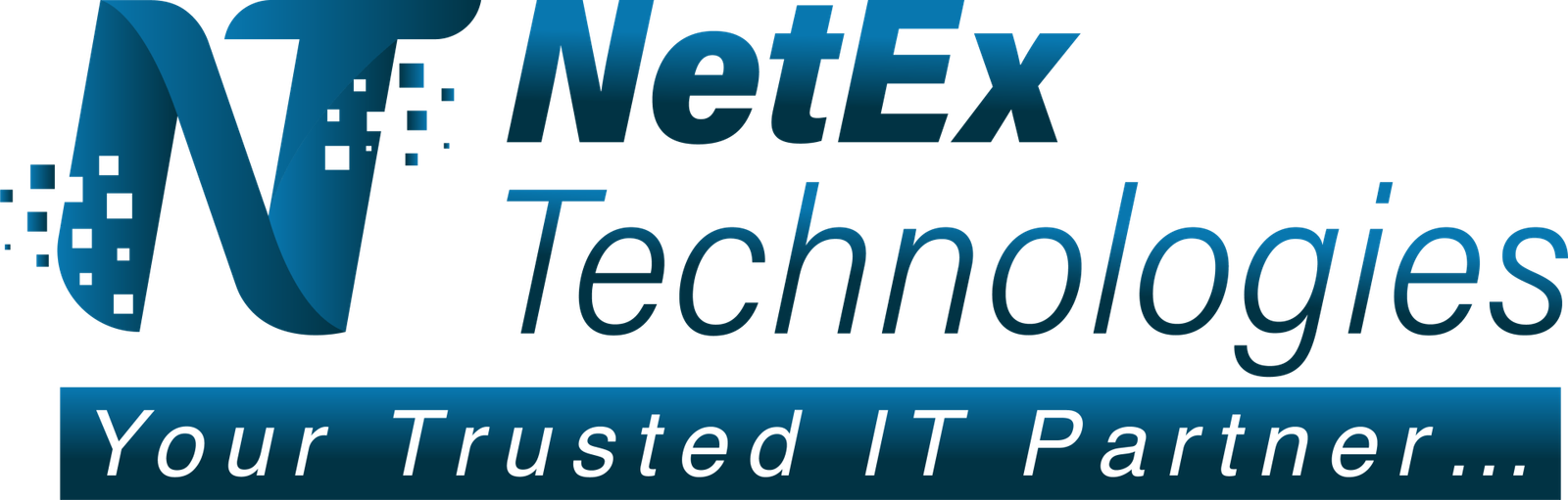 NetEx Technologies